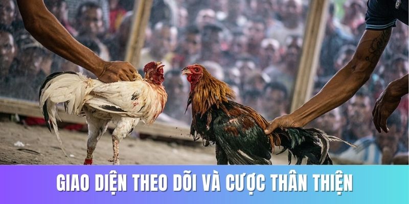 Giao diện sảnh game tại nhà cái RR88 để cá cược thân thiện